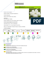 Condiciones Agroclimaticas Algodon 0 PDF