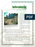 La Deforestacion