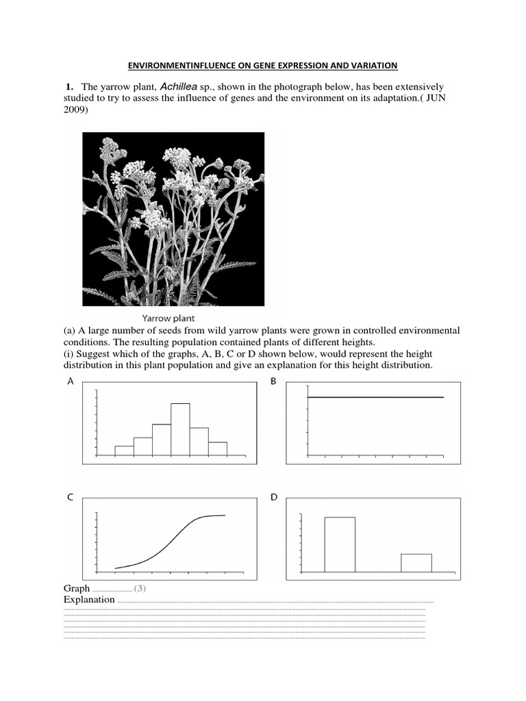 Environmentinfluence On Gene Expression and Variation | PDF | Phenotype ...