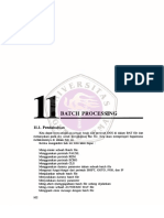 11 batch processing.pdf