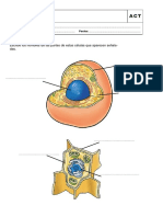 5_refuerzo-anaya.pdf