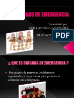 Brigadas de Emergencia Conceptos Basicos