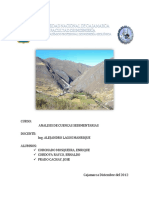 informe de campo.docx