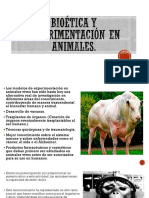 Bioética y Experimentación en Animales