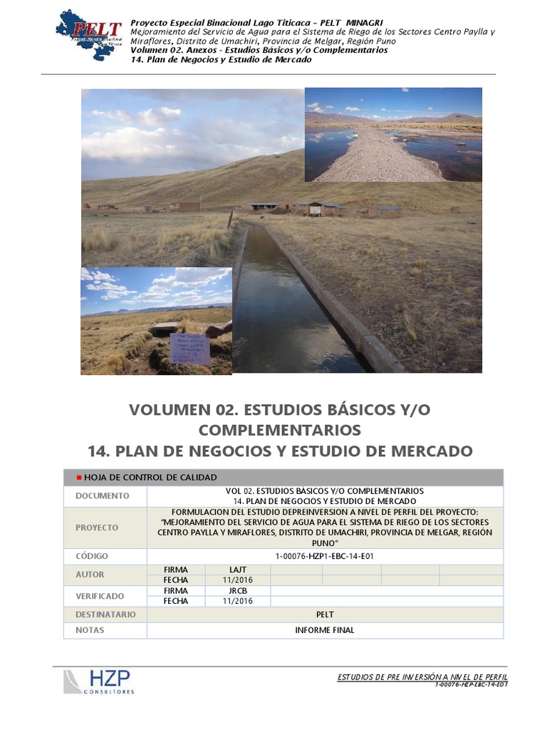 Plan de Negocios para Riego en Puno | PDF | Quinua | Leche