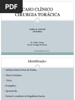 Apresentação Sessão Do Tórax