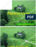 Passaros Livres - Pps