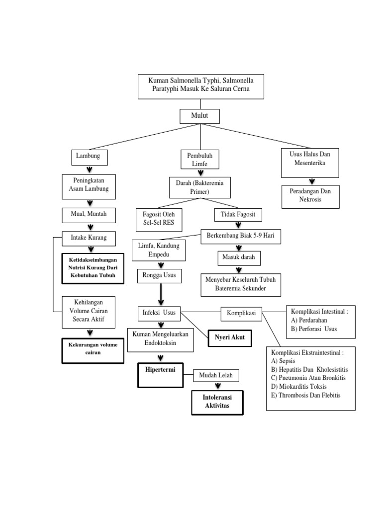 Pathway Hipertermi pada Infeksi Salmonella | PDF
