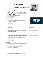 CV Wilmer - Andres ALANIA YAURI