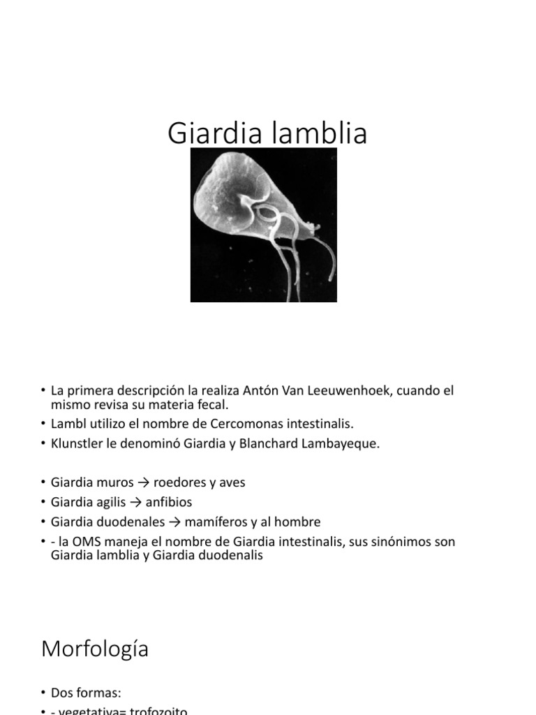 giardia agilis paraziták miatti viszketés