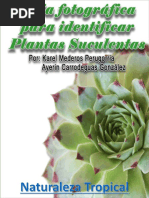 Fichas Plantas Suculentas Y Cactus Hoja Tallo De La Planta
