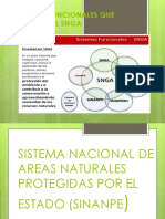 Sistemas Funcionales Que Integran La SNGA