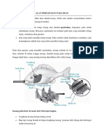 Alat Pernapasan Pada Ikan