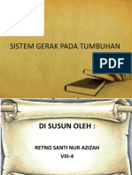 Sistem Gerak Pada Tumbuhan