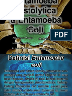 Entamoeba Hystolitica & Entamoeba Coli