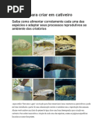 8 Peixes Para Criar Em Cativeiro