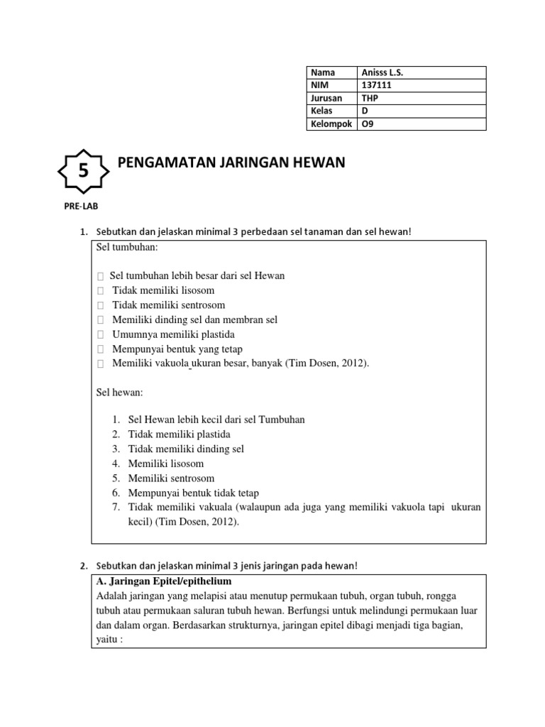 Gambar Jaringan  Sel Hewan  Dan  Tumbuhan