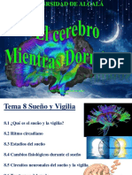 Sueno_y_vigilia.pdf