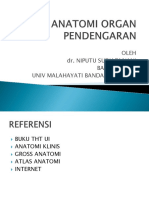 Sistem Organ Pendengaran PP