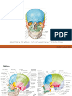 Osteología, artrología y biomecánica.