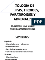 Clase 13 - Patologia de Hipófisis, Tiroides, Paratiroides y Adrenales