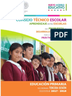 PRIMARIA 3a Sesión CTE 2017-18 GUIA