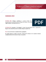 Formato Lectura Compleentaria PDF