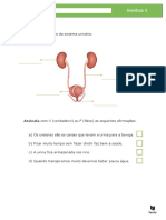 Sistema urinário: órgãos e afirmações