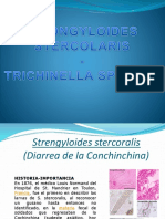 Clase Strongyloides y Triquinosis