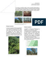 Taller clima.docx