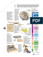 Los Fósiles PDF
