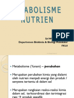 Biomol-MSM1 Metabolisme Nutrien (Prof Widia)