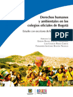 Derechoshumanosyambientales.pdf