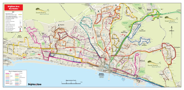 Brighton Bus Routes Map Brighton Bus Map Areawide | Pdf