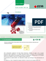 Tema 4. Las Proteínas
