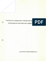 Perforacion y mantenimiento de pozos.pdf