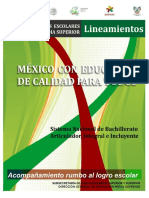 Lineamientos  CTEEMS-FEBRERO.pdf