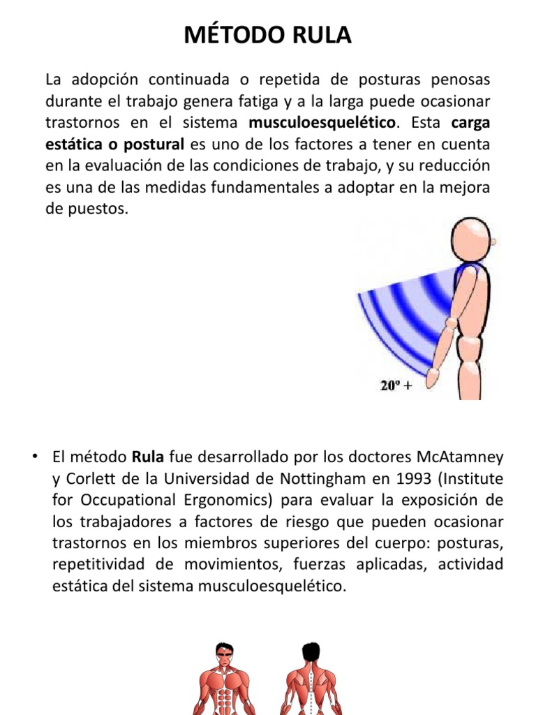 Evaluación del Método RULA en Ergonomía | PDF | Músculo | Fuerza