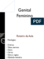 Aula Genital - Mariana 5.9.17