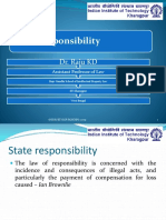 State Responsibility 