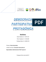 Democracia Participativa y Protagonica...