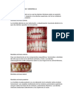 Arcadas Dentarias