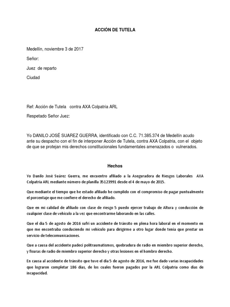 Formato Accion de Tutela | PDF | Derecho Constitucional | Derechos humanos