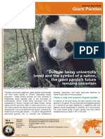 Giant Panda Factsheet2006