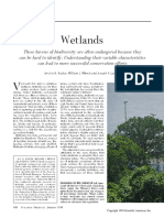 wetlands