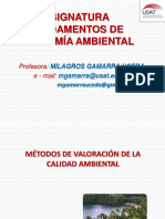 Métodos de Valoración de Calidad Ambiental - Introducción