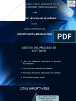 Gestion de Procesos de Software