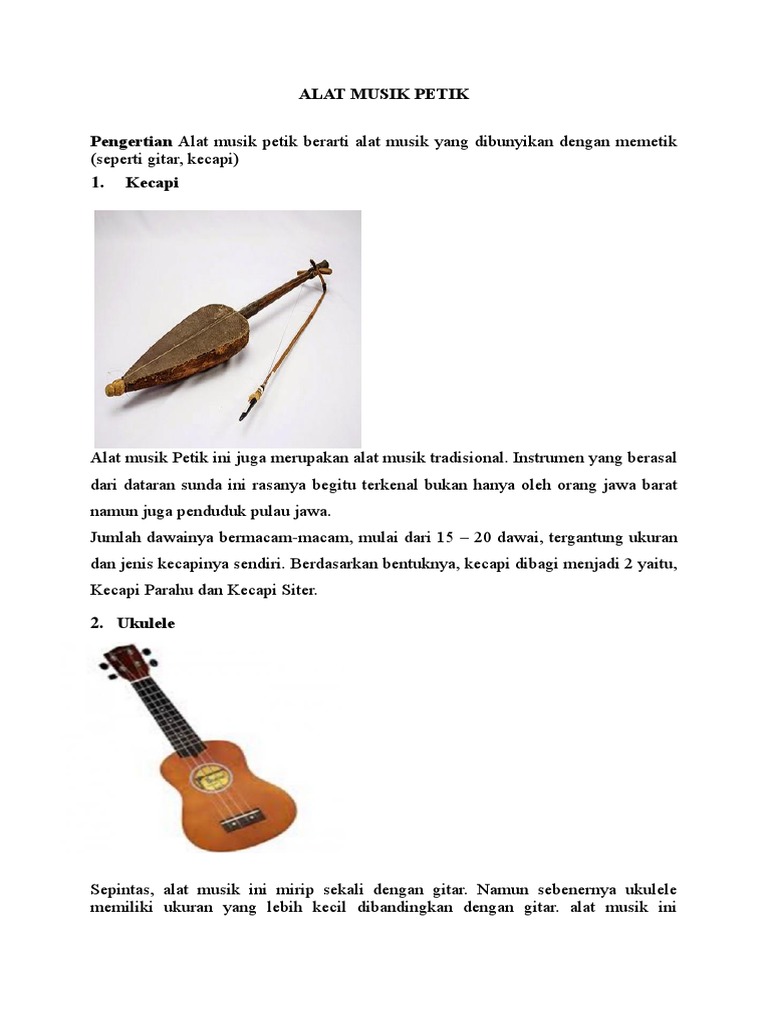Alat Musik Petik