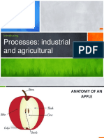 Introducing processes: industrial and agricultural