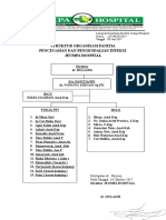 Struktur Organisasi PPI
